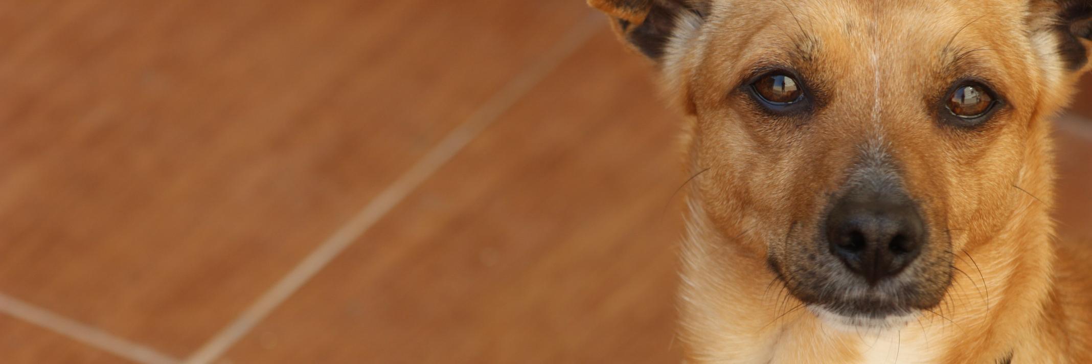 SorryImSory's profile banner image