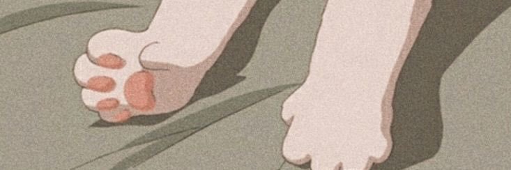 tulippp_41's profile banner image