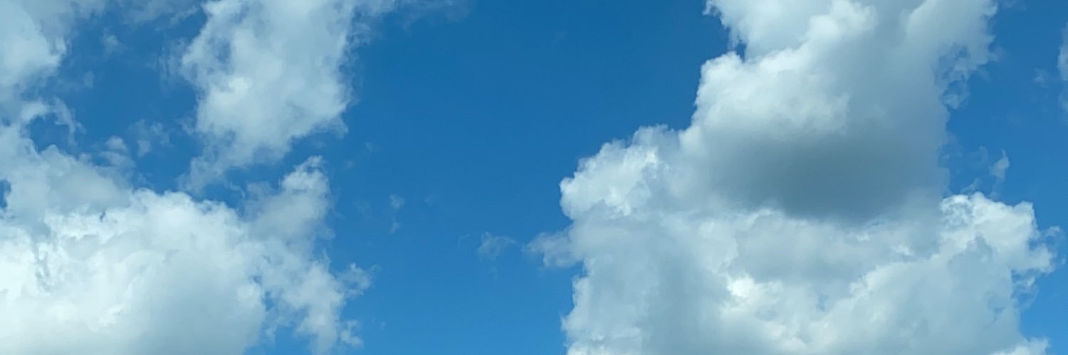 US Pepe In Darkness 🐸🇺🇸 banner