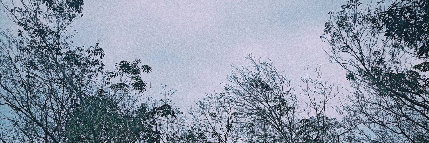 AlanJohnGeorge2's profile banner image