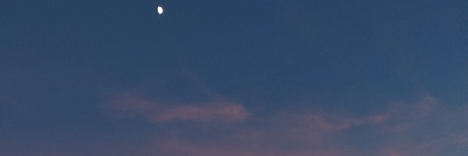 variconV's profile banner image