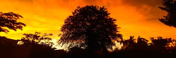 gerojedacast Profile Banner