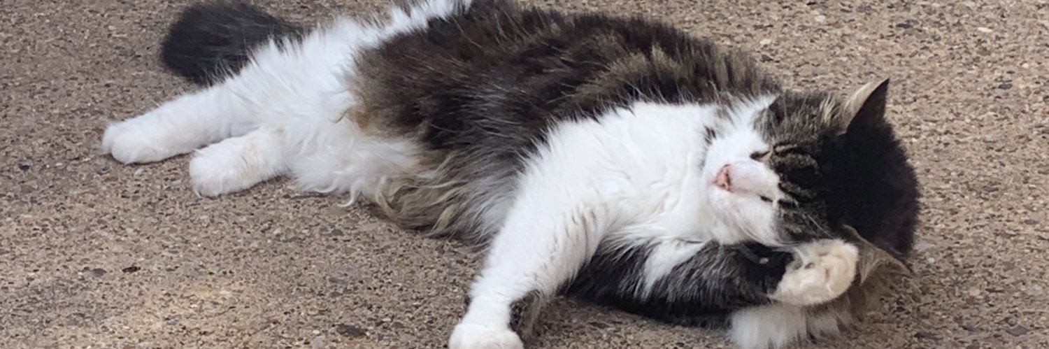 mol banner