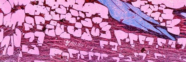 rosical Profile Banner