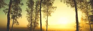 cabreramiguel_'s profile banner image