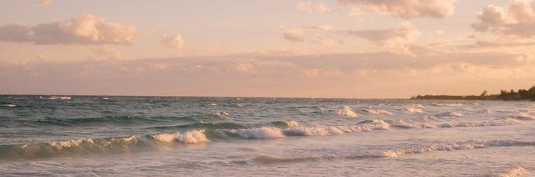 haanebby's profile banner image