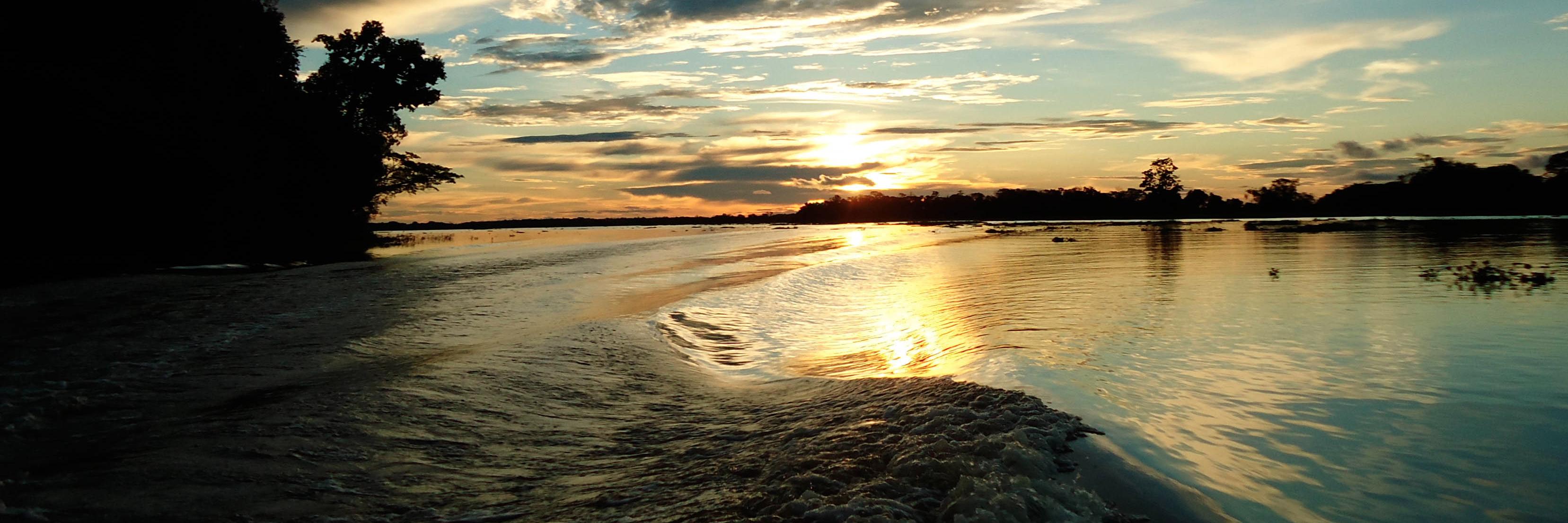 claire_rigby's profile banner image