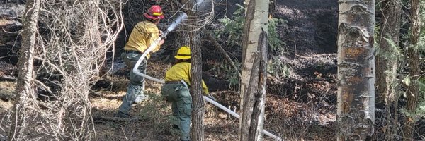 Firerisk Profile Banner