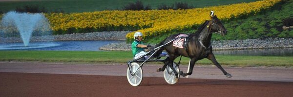 KnutssonTrot Profile Banner