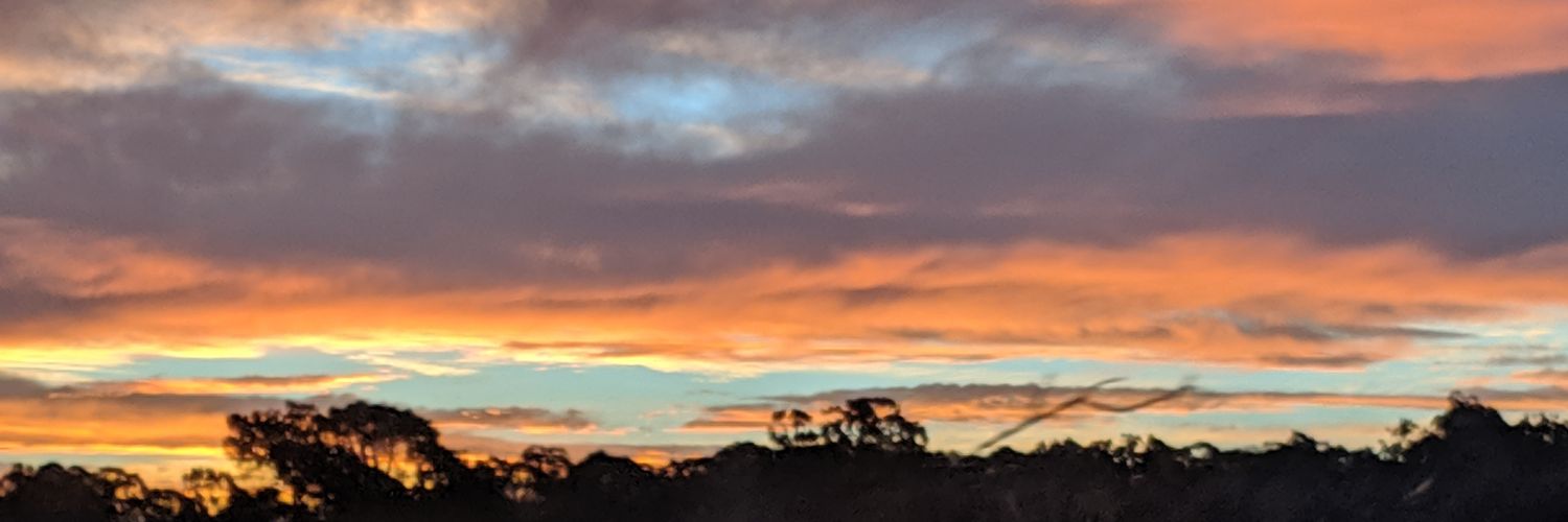 CryptoXDragon's profile banner image