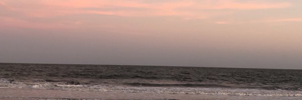 drshubDPT Profile Banner