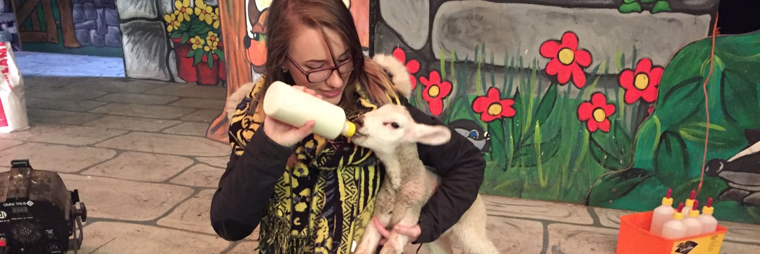katieevansAM's profile banner image