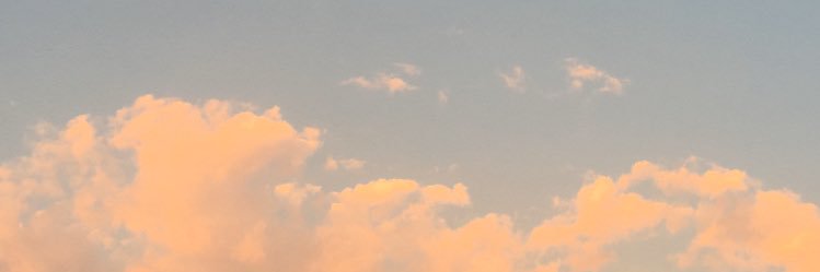 B banner