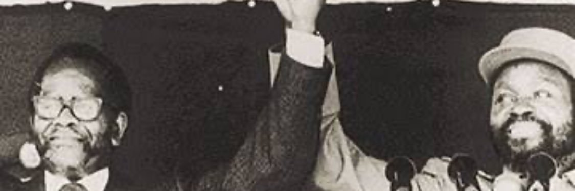 Franny Rabkin banner