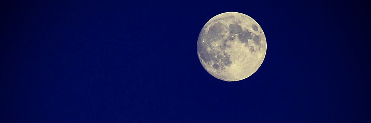 martinschalk's profile banner image
