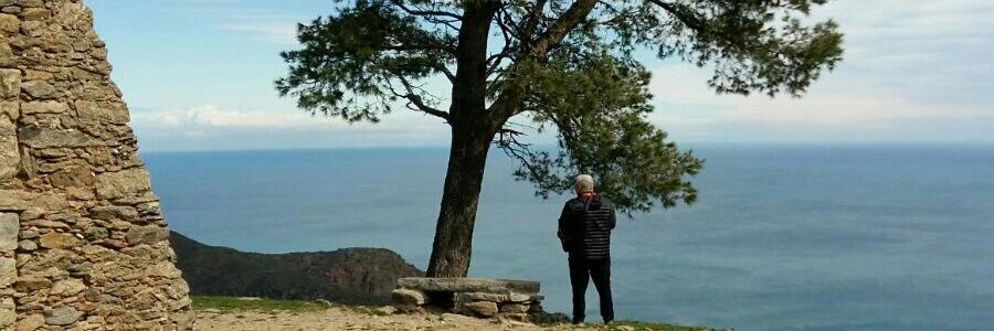 antoni clusells banner