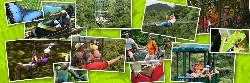RainForestAdventures banner