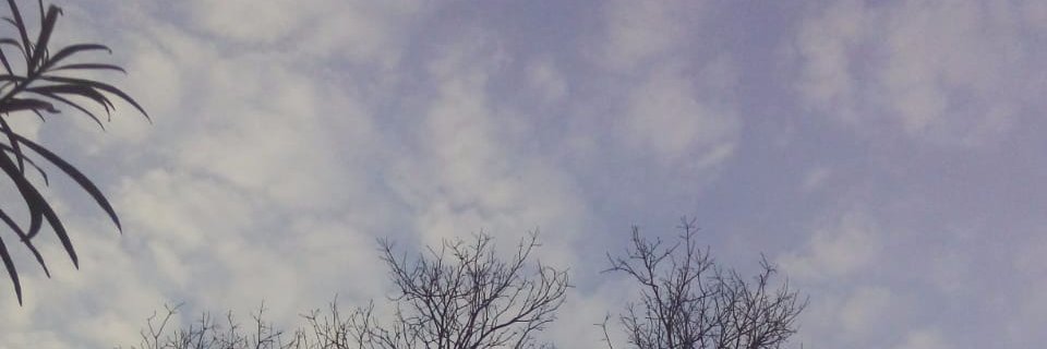 kajoltek's profile banner image