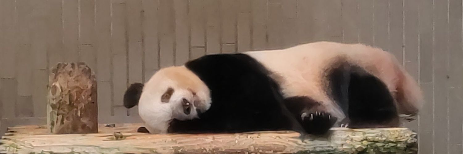 おとぱん🍎🐼 banner