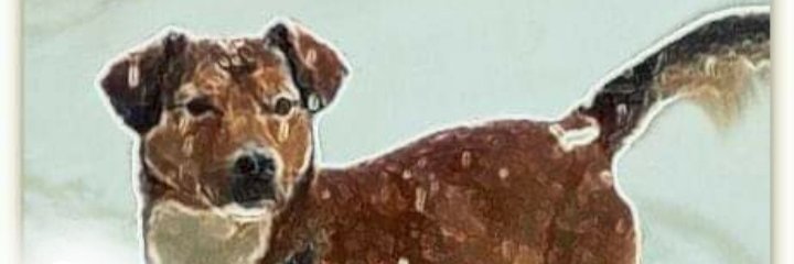 michobih's profile banner image
