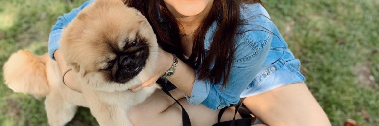 pamelatorresd96's profile banner image