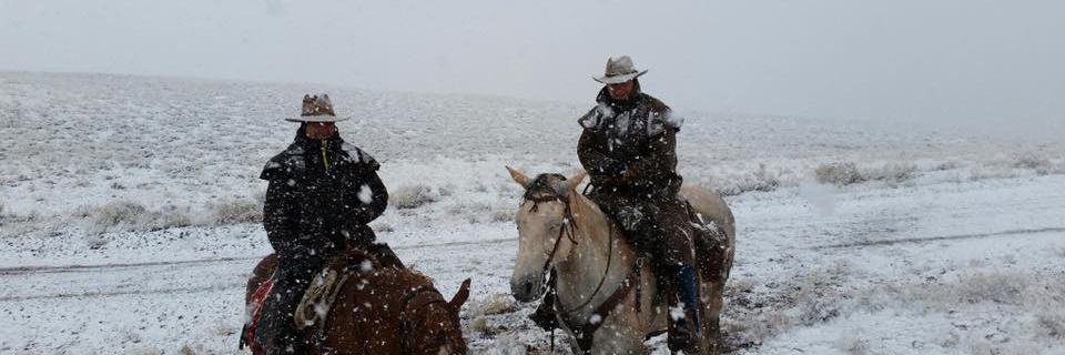 garydbowen's profile banner image