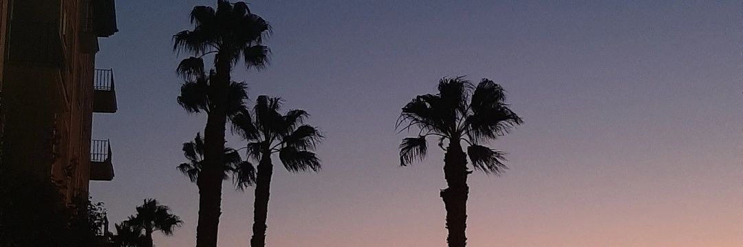 mariiarubi0_'s profile banner image