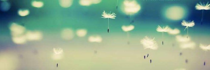 Gabba_Alvarez's profile banner image