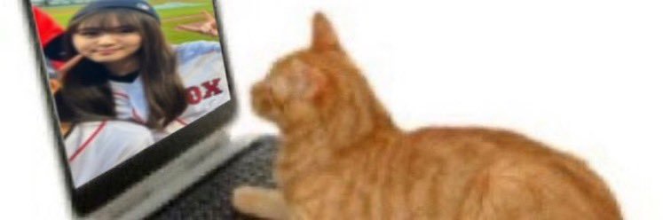 moametal 💭 banner