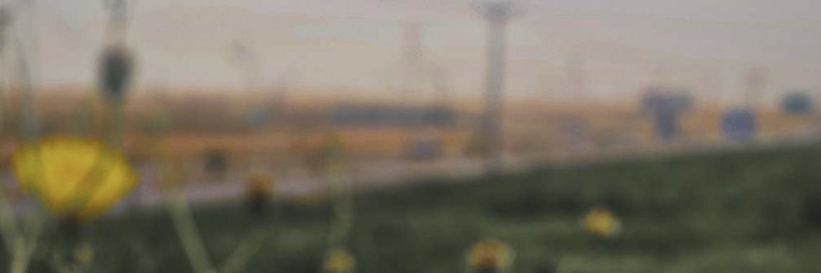 gg banner
