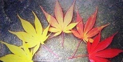 vanyna22's profile banner image