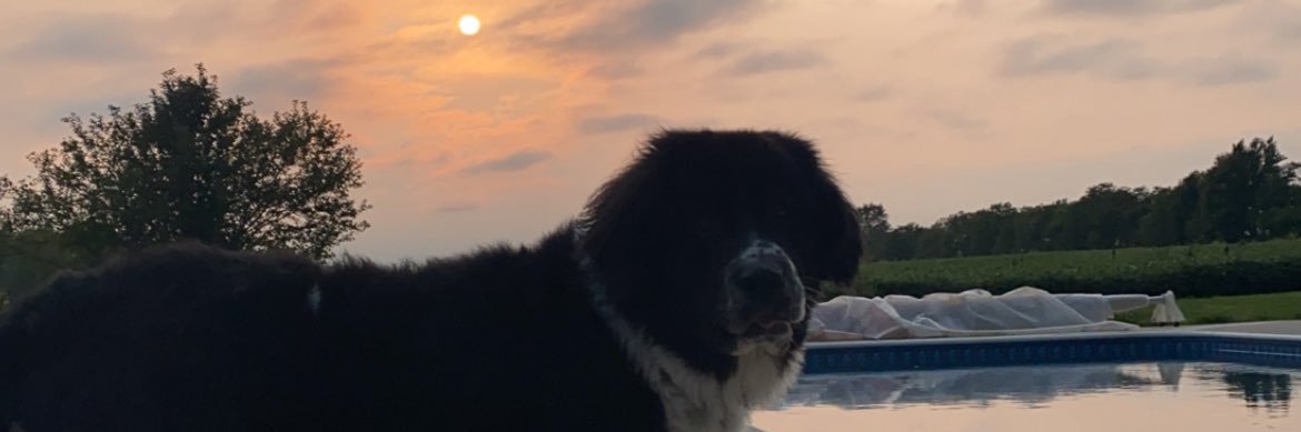 AshlynCorpe's profile banner image