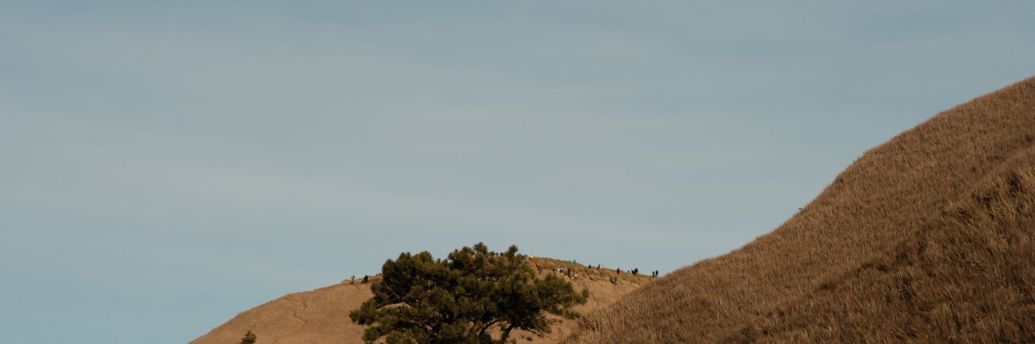 loy banner