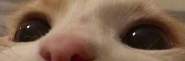 MaaaoUuuuuuu Profile Banner