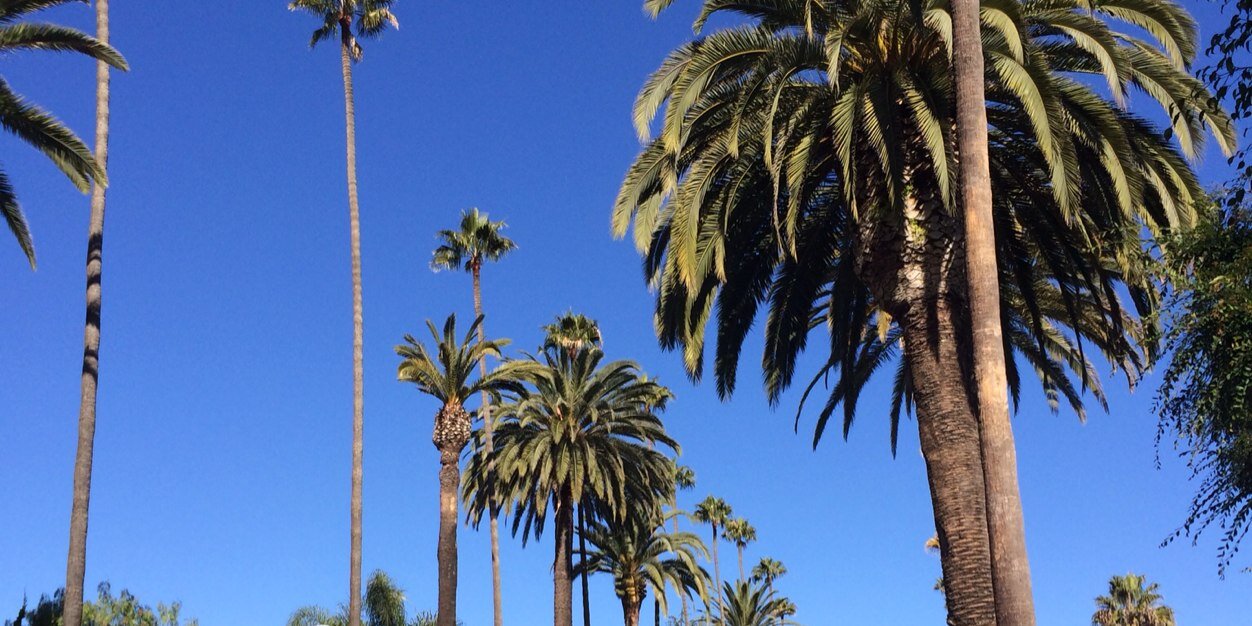 Jackie Strause banner