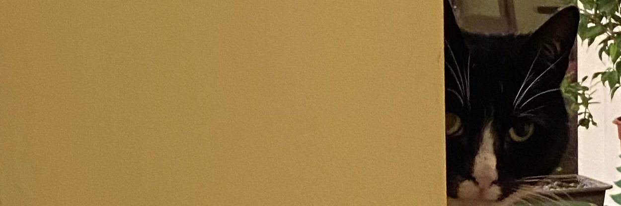 CathyGrealish's profile banner image