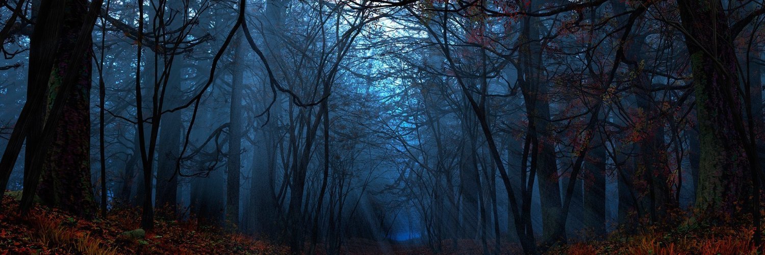 bianca_menta's profile banner image