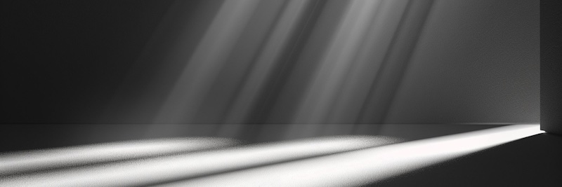 Shaun Duval banner