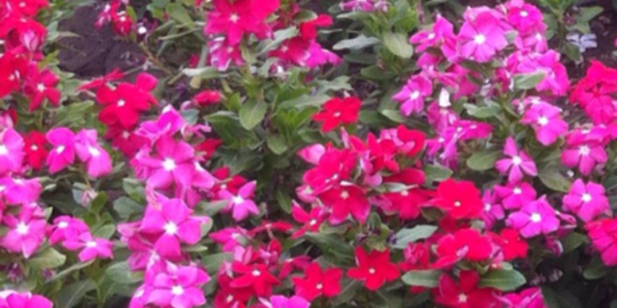 kary0225's profile banner image