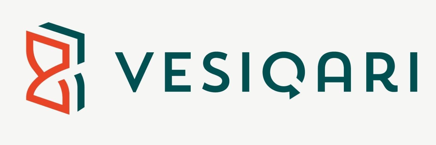 Vesiqari's profile banner image