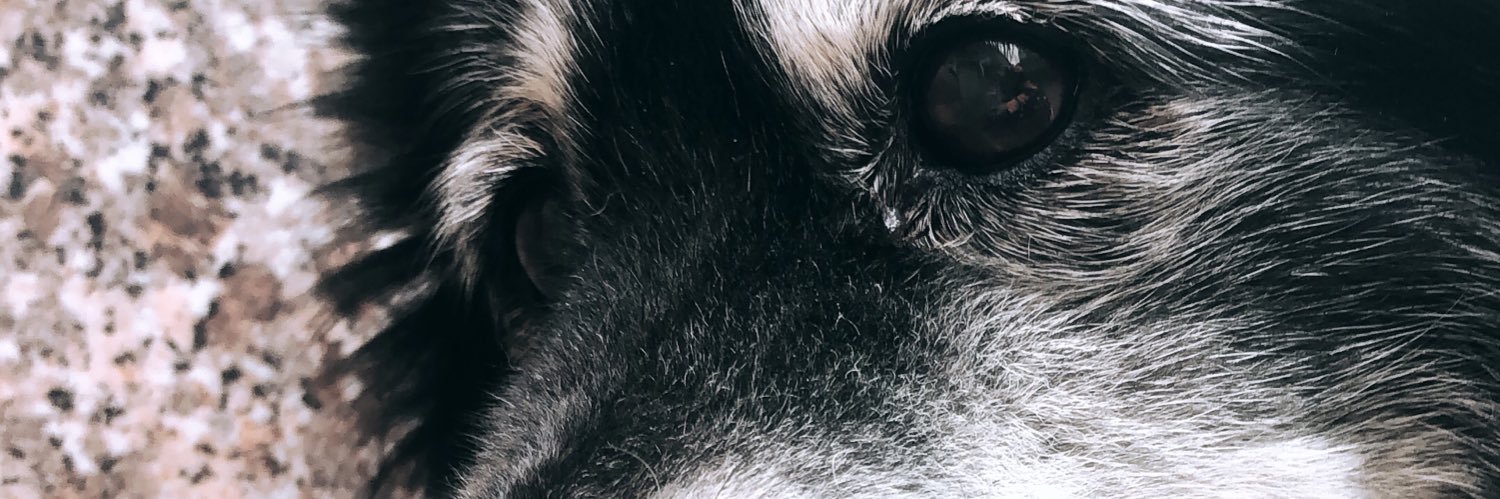 RaaquelGP's profile banner image