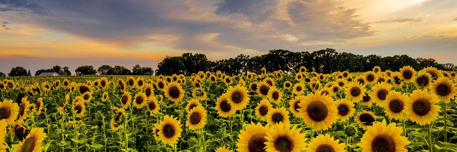 Becky🌻🧡 banner