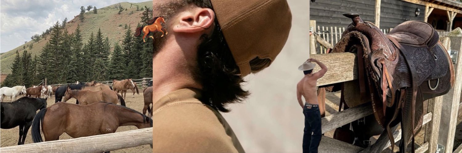 lynchscourt's profile banner image