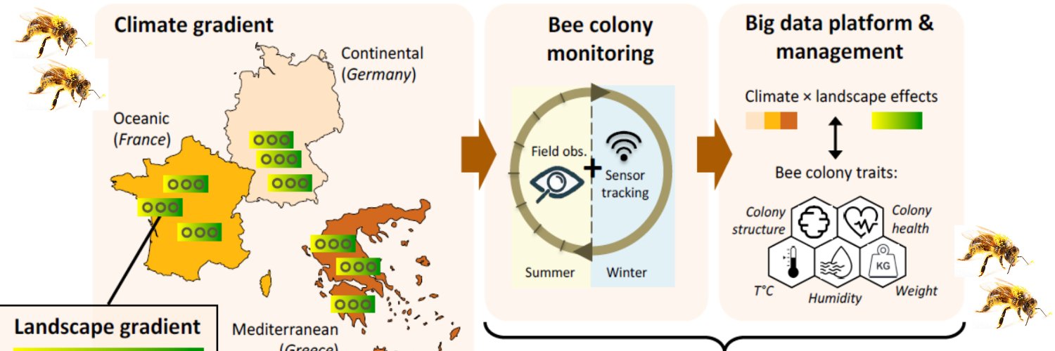BeeConnected banner
