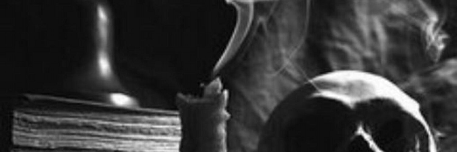 shadowofvanity's profile banner image