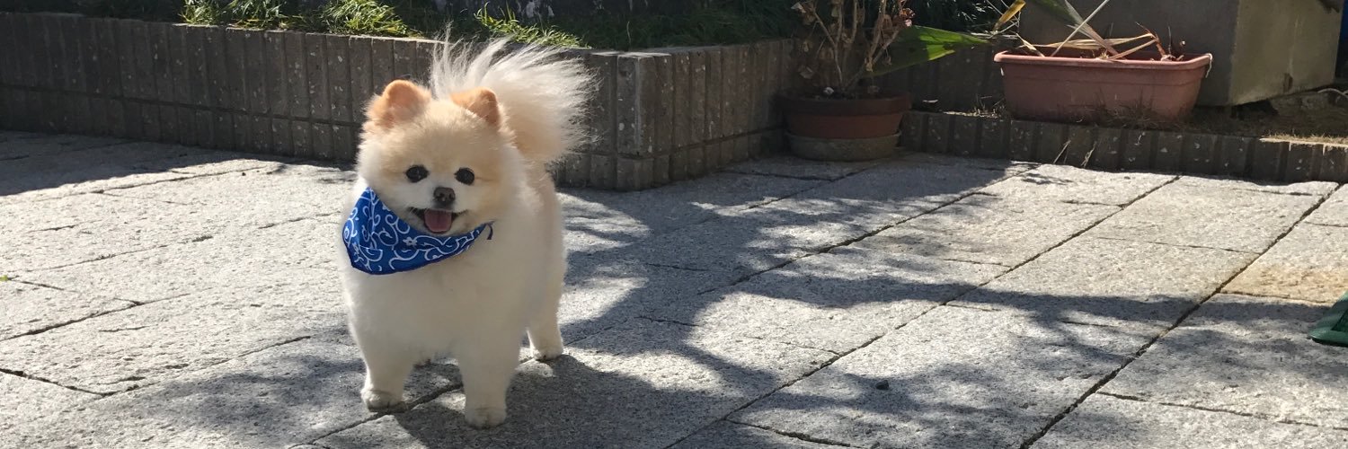 bonchan07's profile banner image