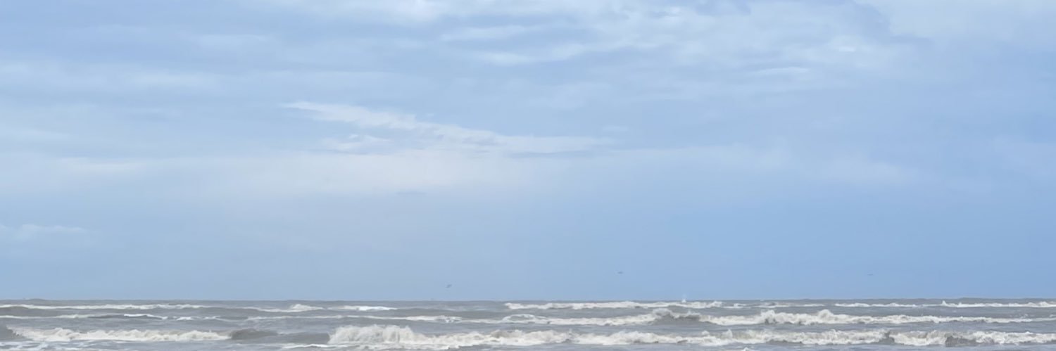 Luz Moore banner