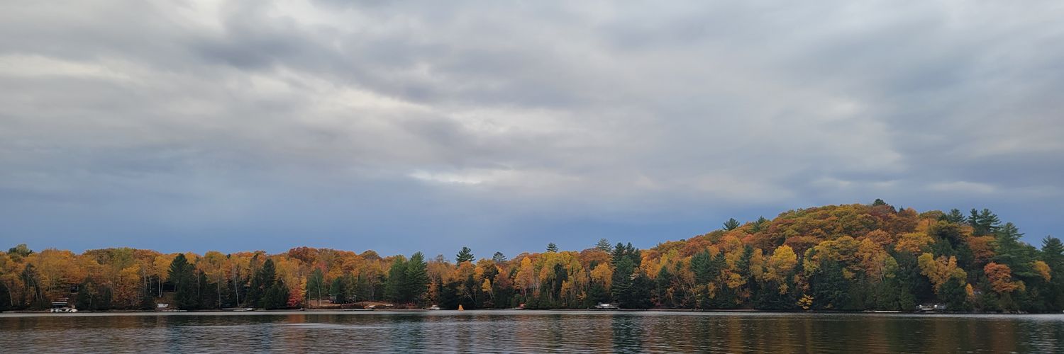 chadwallison's profile banner image