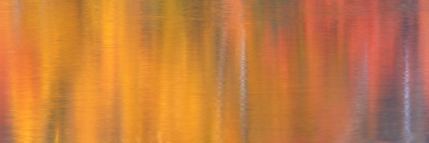 DRowPhotography's profile banner image
