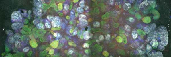 sbwil91 Profile Banner